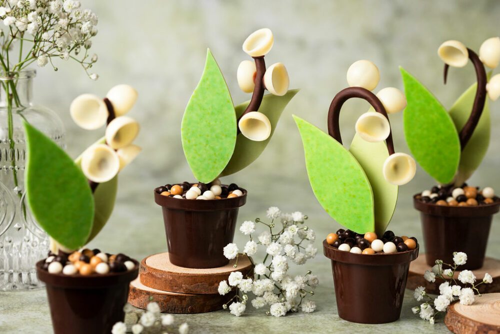 Muguet-chocolat